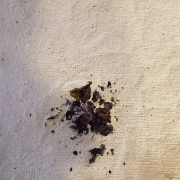 13 Pages of Handcrafted Papers with Sage Flowers - Picture 2 of 3